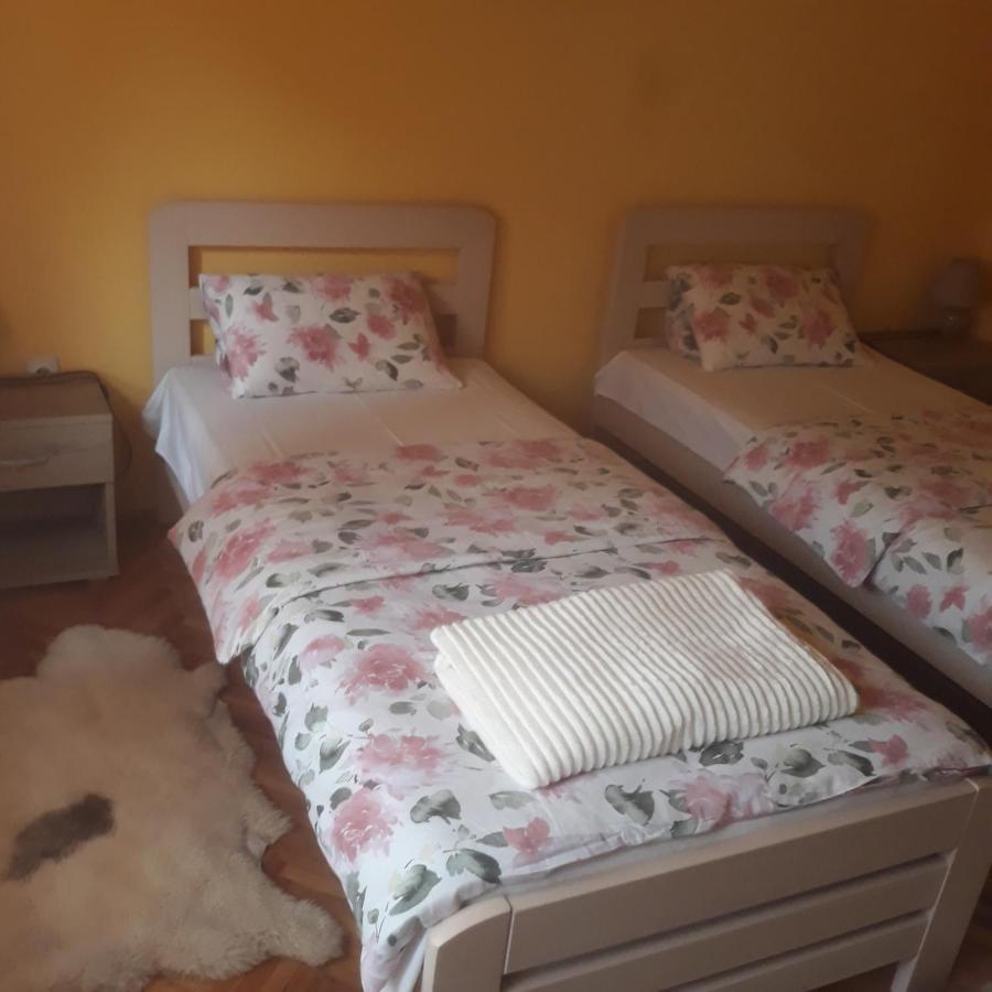 Apartman "Dom Stankovica" Pirot Exterior photo